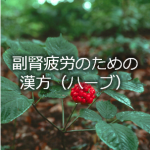 副腎疲労の解消に試してみたい漢方(ハーブ)9選